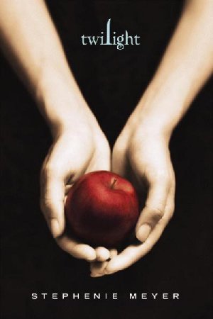 Image result for twilight book cover